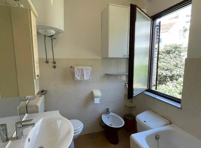 Iva 포드스트라나